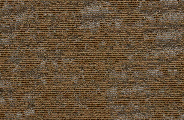 Terranova   Goldstone (4)
