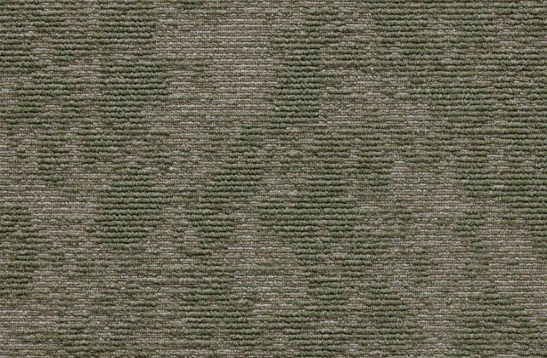 Terranova   Spring Prarie (4)