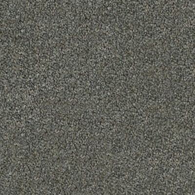 Westminster | Premium Stain Proof Nylon Carpet | Belgotex NZ | Premium ...