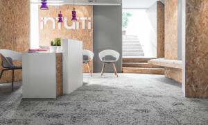 Canopy to Bark - Scope