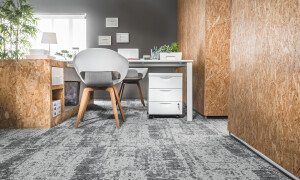 Canopy to Bark - Vision